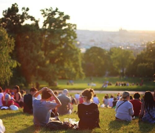 pexels-leah-newhouse-50725-325521